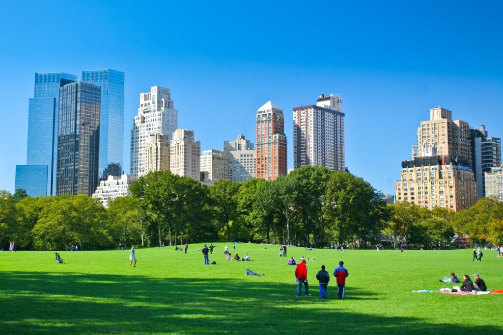 people enjoying a sunny day in a park