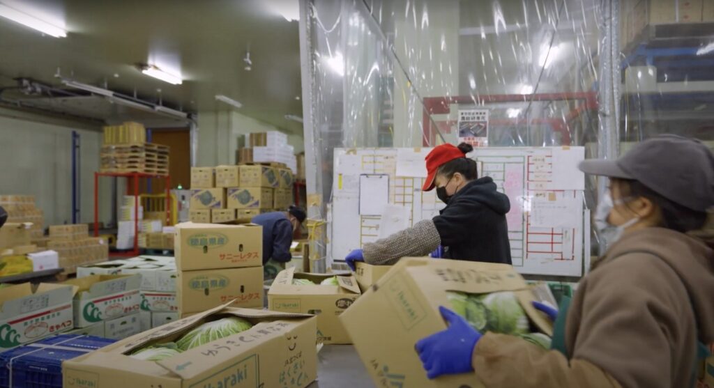 Supermarket workers checking the produce and using those expired or in no good conditions to create compost