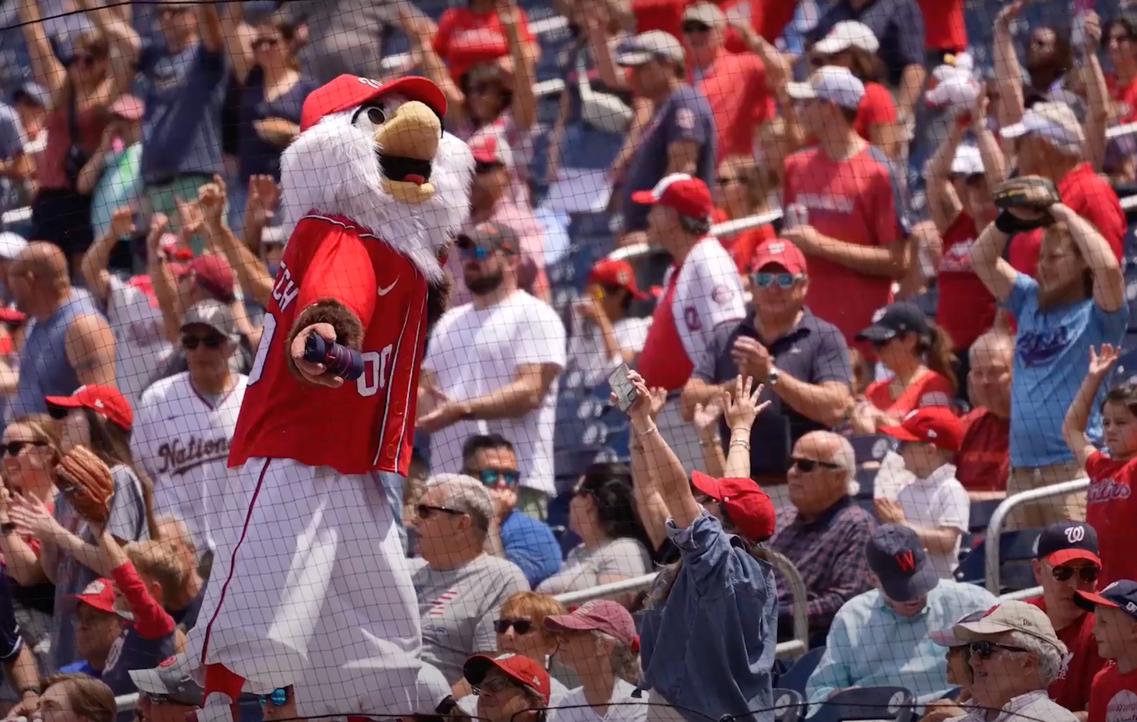 Washington Nationals fans in the stadium
