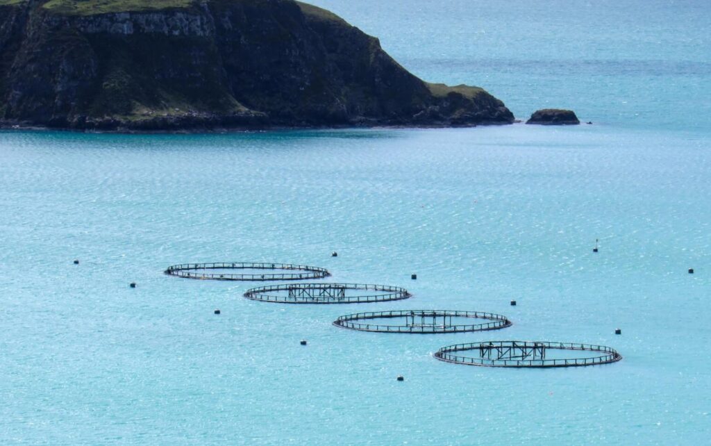 farming in the open sea