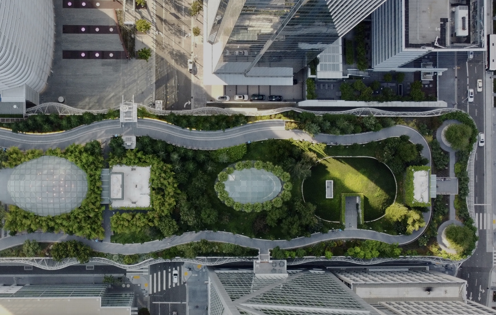 View from above of a park in the middle of a business district